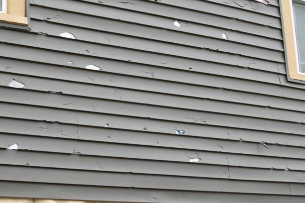 Historical Building Siding Restoration in Covington, KY